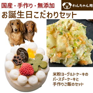 わんちゃんお誕生日こだわりセット 愛犬のお祝いケーキ マンゴー入り米粉ヨーグルトケーキと手作り犬用ごはん 鶏肉の雪下人参クリームシチューのセット