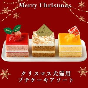 \t 2025p Lp NX}X Lpv`P[LA\[g LpP[L NX}XP[L