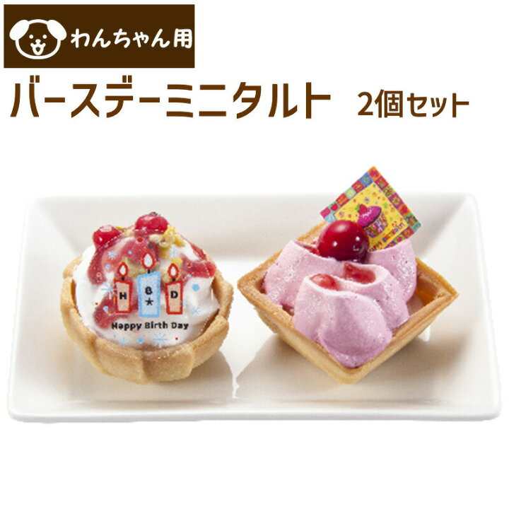 楽天市場】犬 ケーキ 誕生日 コミフ バースデーミニタルト 2個セット 