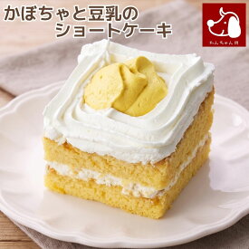 コミフ かぼちゃと豆乳のショートケーキ ペットケーキ ペット用ケーキ 誕生日ケーキ バースデーケーキ 犬用 ワンちゃん用
