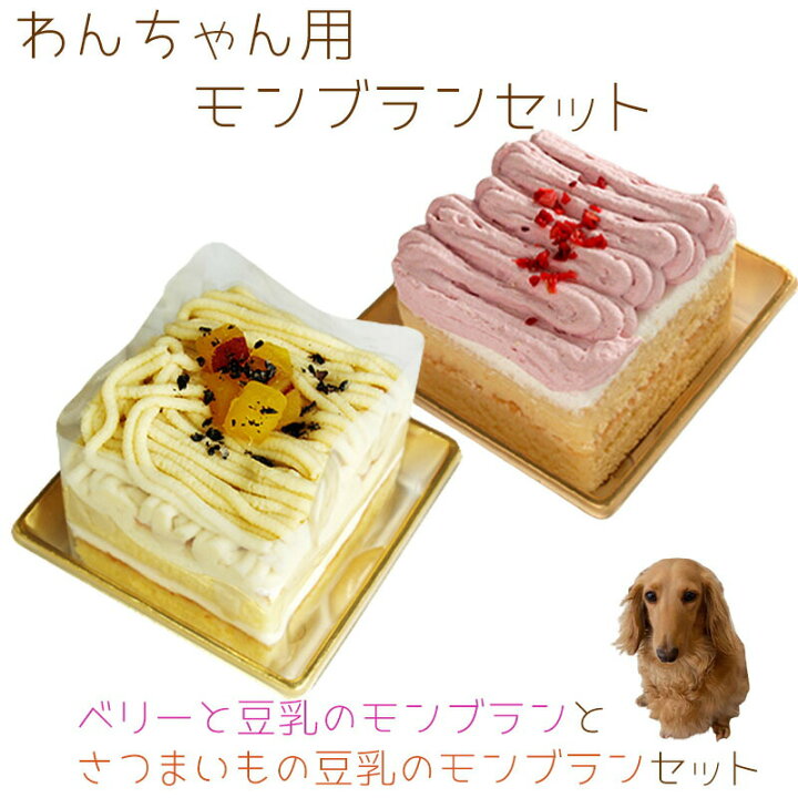さつま芋モンブランタルトケーキ 誕生日ケーキ バースデーケーキ ペット用ケーキ 犬用 わんちゃん