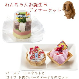 わんちゃんお誕生日ディナーセット ミニタルト2個セットとバースデーデリケーキセット 送料無料 ケーキとご飯のセット