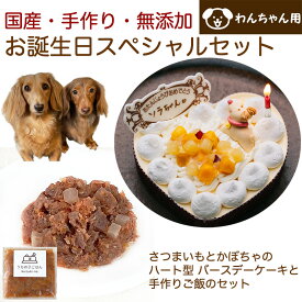 わんちゃんお誕生日スペシャルセット さつまいもとかぼちゃのハート型 バースデーケーキと手作り犬用ごはん 鹿肉のラグーのセット