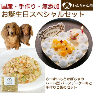 わんちゃんお誕生日スペシャルセット さつまいもとかぼちゃのハート型 バースデーケーキと手作り犬用ごはん 鶏肉の雪下人参クリームシチューのセット