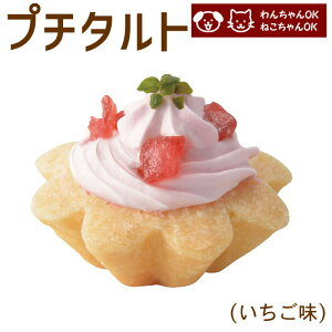 犬 猫 兼用 cake ペットケーキ プチタルト 苺 ペット用 誕生日 記念日
