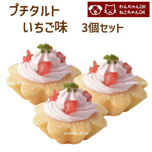 犬 猫 兼用 cake ペットケーキ プチタルト 苺 3個セット ペット用 誕生日 記念日