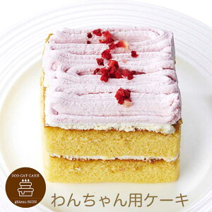 R~t x[Ɠ̃u ybgP[L aP[L o[Xf[P[L p p