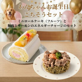 わんちゃんお誕生日ごちそうセット ミニロールケーキ（フルーツ）とバランス・モグ3　豚肉とサーモンのエネルギーチャージのセット ケーキとご飯のセット
