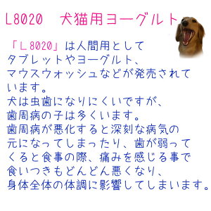 楽天市場 L80 乳酸菌使用 犬用 猫用 ヨーグルト おやつ デザート 誕生日ケーキのお店ケベック