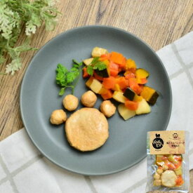Wagわん 自家製 かわいい肉球が作れる鶏ささみハンバーグ 野菜添え トッピング ごちそう 誕生日 クリスマス