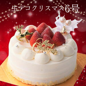 \t NX}XP[L fRNX}X 6 18.0cm (6`10l)