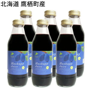 kC 鐲Y nXJbvW[X 500ml×6{Zbg