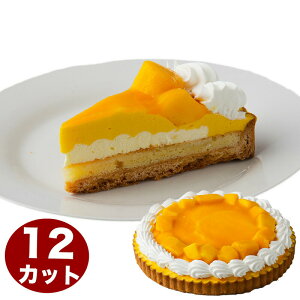 }S[ґ^g 7 21.0cm 12Jbgς aP[L o[Xf[P[L