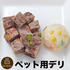 R~t f ~[g{[v[g lꏏɂオ肢f