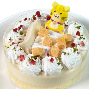 チーズケーキ 誕生日の人気商品 通販 価格比較 価格 Com チーズケーキ 誕生日の人気商品 通販 価格比較 価格 Com