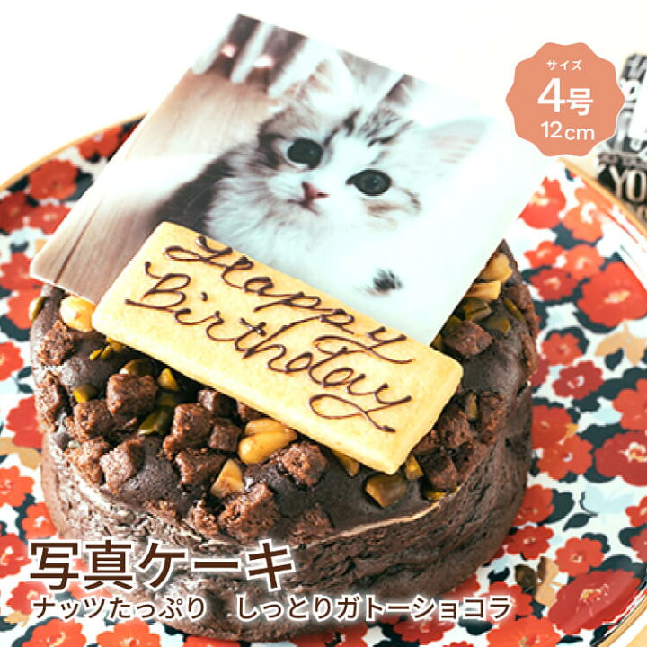 楽天市場 送料無料 写真ケーキ ナッツ たっぷり しっとり ガトーショコラ 4号 12cm チョコレートケーキ プレゼント ギフト お取り寄せ スイーツ 誕生日 誕生日ケーキ バースデー バースデーケーキ オーダーメイド クリスマスケーキ Cake Jp ケーキ