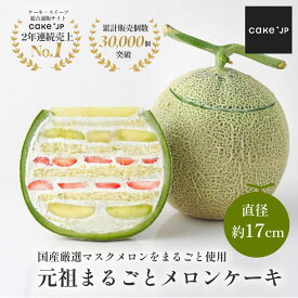 【毎月1日はお届け不可】 まるごとメロンケーキ 誕生日ケーキ バースデーケーキ フルーツケーキ バースデー ケーキ ギフト プレゼント メロン イチゴ 苺 いちご 内祝 誕生日 記念日 お祝い お取り寄せ スイーツ TV 紹介 冷蔵 17cm 本州限定