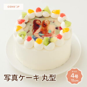 yz ʐ^P[L ی^ 4 12cm 2l`3l aP[L q vg@CXg tHg o[Xf[P[L LN^[ Mtg l P[L LO j j ʐ^ a 