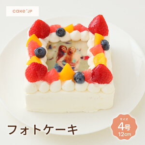 yz tHgP[L 4 12cm 2l`3l aP[L q vg@CXg tHg o[Xf[P[L LN^[ Mtg l P[L LO j j ʐ^ a 