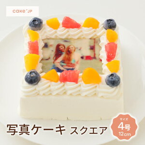 yz XNGA ʐ^P[L 4 12cm 2l`3l a aP[L o[Xf[ ʐ^ P[L tHg vg CXg LN^[ `R[gP[L t[c  Tv