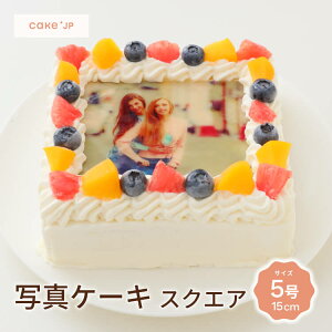 yz XNGA ʐ^P[L 5 15cm 3l`5l a aP[L o[Xf[ ʐ^ P[L tHg vg CXg LN^[ `R[gP[L t[c  Tv