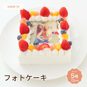 yztHgP[L 5 15cm 3l`5l aP[L q vg@CXg tHg o[Xf[P[L LN^[ Mtg l P[L LO j j ʐ^ a 