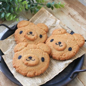 yzs[ibco^[EX}CNbL[ ĉَqlv[g Mtg  yY XC[c َq mَq a o[Xf[  lC O (3420520)