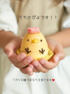期間限定PT10倍【送料無料】かわいい ぴよちゃんシフォン（プレーン） 5個入 詰め合わせ 子ども こども …