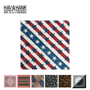 nonN HAV-A-HANK o_i Pi AJ 100% 唻 AJ yCY[ XJbIׂJ[ Y fB[X jZbNXbnJ` XJ[t Op p AEghA t