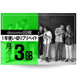 CALENDAR SIMJ[h docomo1NvyChSIMJ[h /3GBv