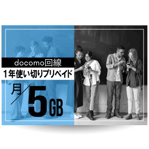 CALENDAR SIMJ[h docomo1NvyChSIMJ[h /5GBv