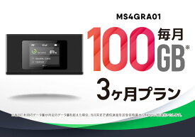 CALENDAR WIFI MS4GRA01 クラウドWIFIルーター 月/100GB 3ヶ月プリペイド通信サービスセット【ポケットwifi】