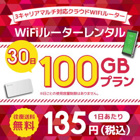 【往復送料無料】WiFiレンタル クラウドWIFIルーター 30日100GB レンタルプラン