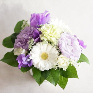 hV̓@ t[ v[g Ε  Mtg t[AWg a  G߂̉ԑAW ʉ w 