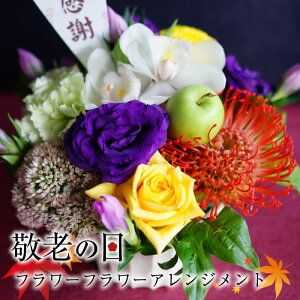 hV̓  Mtg t[oXPbgtt[AWyt[Mtgz@Mtg 蕨 v[g j