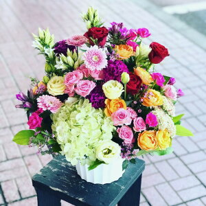 hV̓ ԋZD҂IWit[AWg ԑ G߂̉ԑ  t[ v[g t[AW Mtg a  p 摜zM Mtg 蕨 v