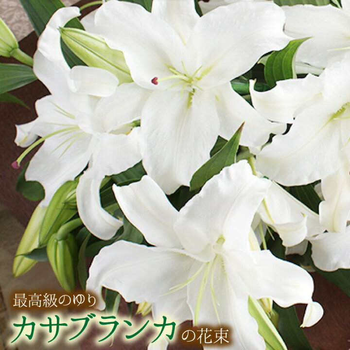 楽天市場 バレンタインデー 母の日 お供え カサブランカ 花束 本数三本15輪以上 カサブランカの３本の花束 ユリ フラワーギフト ギフト 花 贈り物 プレゼント お祝い お盆 お供え あす楽 フラワーショップ カレラ