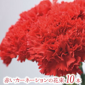 母の日 赤いカーネーションの花束 10本【フラワーギフト】ギフト 贈り物 プレゼント お祝い
