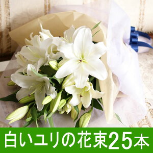 hV̓ ̉ԑ ֐100֑O  zCg 25{ ʉ 蕨  S Mtg v[g j t[Mtg