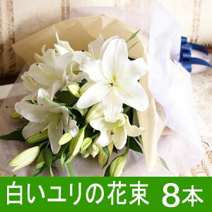 hV̓ ̉ԑ ֐32֑O  zCg 8{ ʉ 蕨  S Mtg v[g j t[Mtg