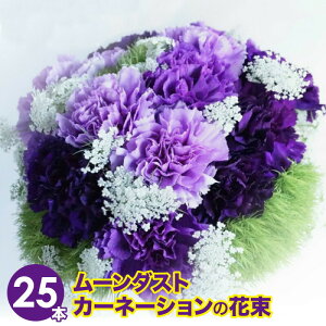 生花 花束 ムーンダストの人気商品 通販 価格比較 価格 Com