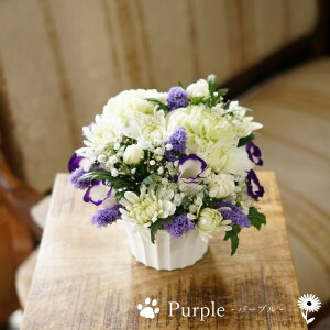 ybg   AWg  { ybg  蕨 t[AWg   ފ ~    @v