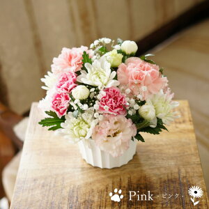 ybg   AWg  { ybg  蕨 t[AWg   ފ ~    @v