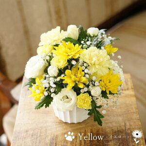 ybg   AWg  { ybg  蕨 t[AWg   ފ ~    @v