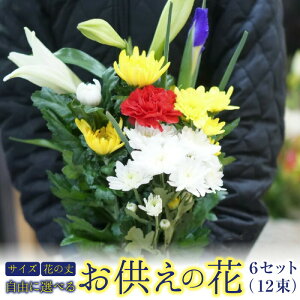 hV̓ 6Zbgi12{j~  d  @    12Zbg