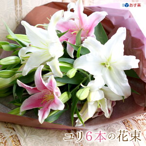 hV̓ ̉ԑ ֐24֑O FIׂ sN zCg ~bNX 6{ ʉ 蕨yyMt_bŹzyt[Mtgz  S Mtg v[g j bZ[WJ[h