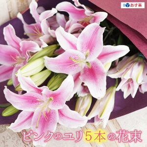 hV̓  ԑ ̉ԑ ֐20֑O sN̂ sN 5{ ʉ 蕨  S Mtg bZ[WJ[h v[g j t[Mtg y  ԑ Əj