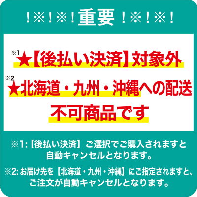 【でっかい画用紙:B2サイズ】中厚口20枚単位で販売(1回のご注文で3個まで購入可能)普通の画用紙じゃ収まらない!でっかく・楽しくお絵かき!子供向け幼稚園イラストポスター色鉛筆クレヨン絵の具【後払不可商品】