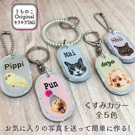 うちのこ オリジナル キラキラ TAG くすみカラー キーホルダー 愛犬 愛猫 愛鳥 ペット 犬 猫 うさぎ 鳥 亀 オーダー うちの子 グッズ 写真 作成 おしゃれ かわいい アクリル うちの子グッズ オリジナルグッズ ペットグッズ 誕生日 プレゼント 推し活 メモリアル