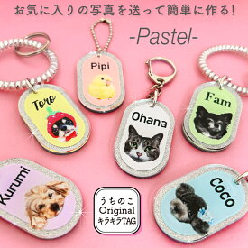 うちのこ オリジナル キラキラ TAG Pastel キーホルダー 愛犬 愛猫 愛鳥 ペット 犬 猫 うさぎ オーダー うちの子 グッズ 写真 作成 おしゃれ かわいい アクリル うちの子グッズ オリジナルグッズ ペットグッズ 誕生日 プレゼント 誕生日プレゼント クリスマス メモリアル